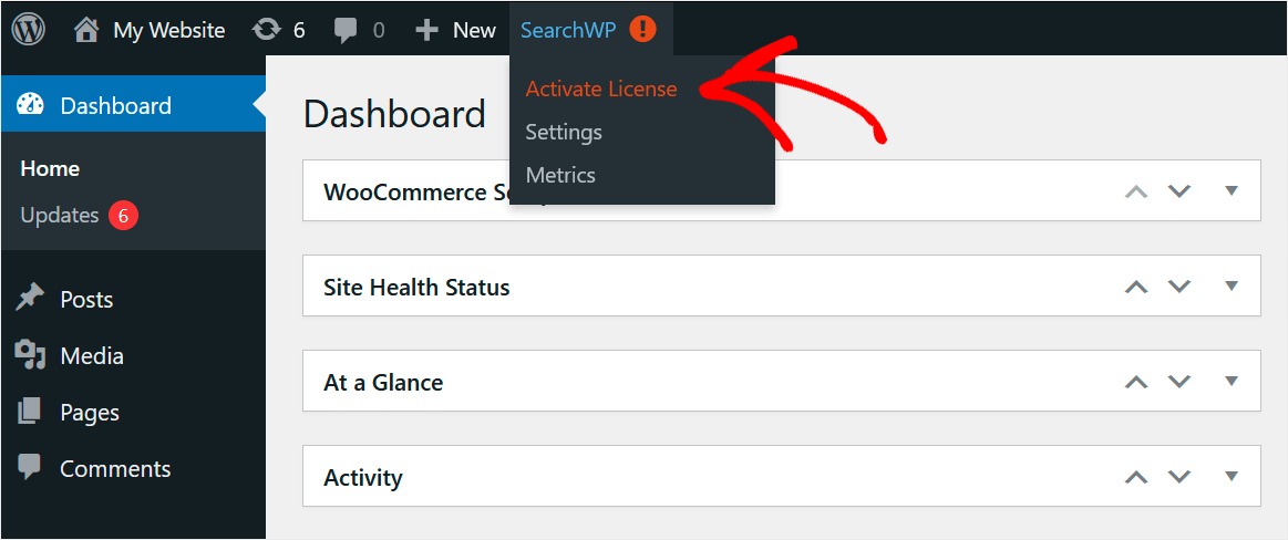 click Activate License