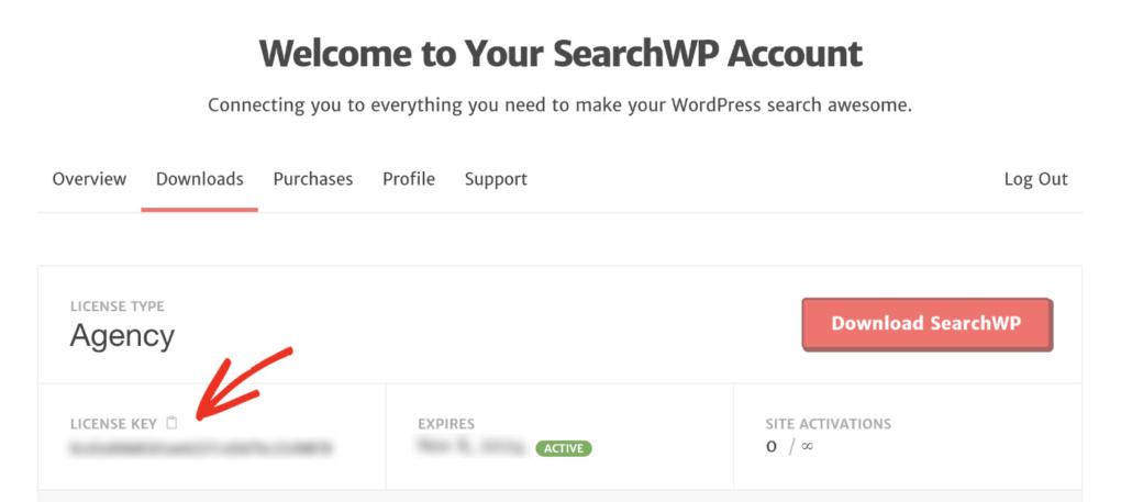 How To Display Clickable Keywords Below The Search Bar In WordPress: Install SearchWP Plugin Step 2