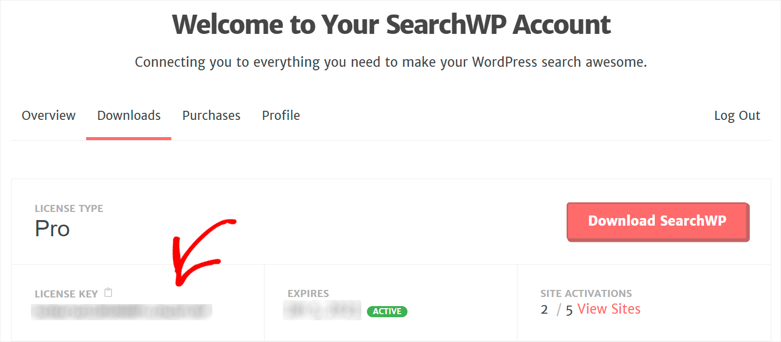 copy your license key - SearchWP copy your license key