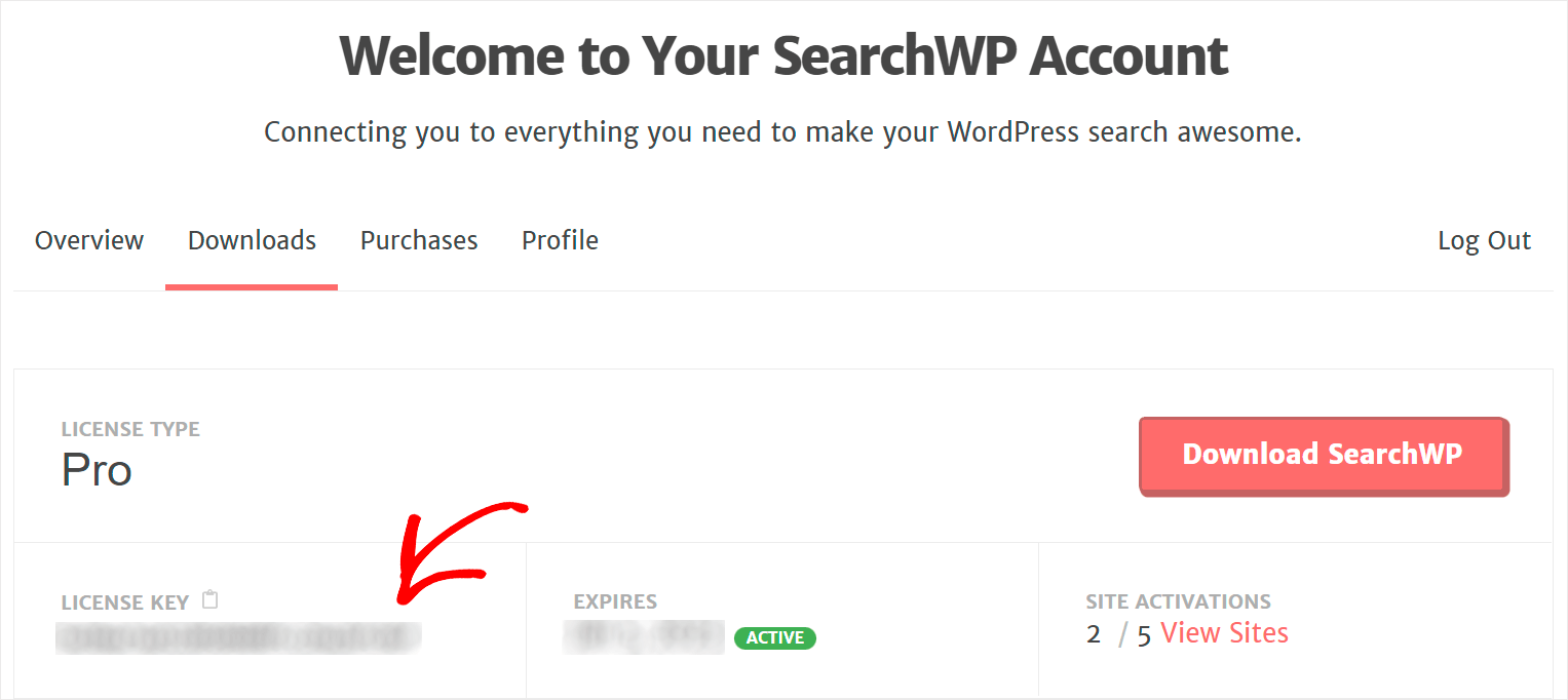 copy your license key