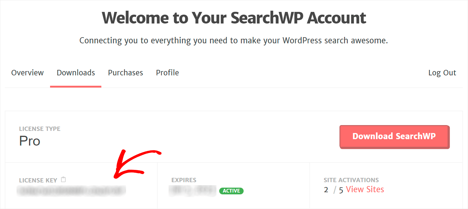 copy your license key