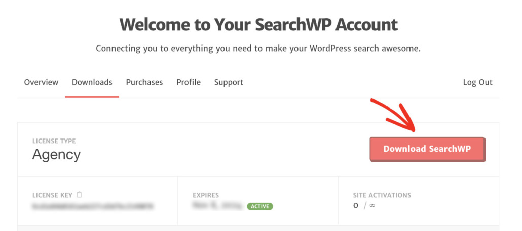 How To Display Clickable Keywords Below The Search Bar In WordPress: Install SearchWP Plugin Step 1