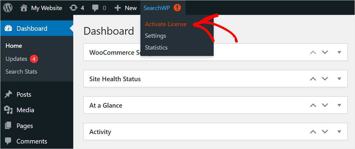 go to the Activate License page