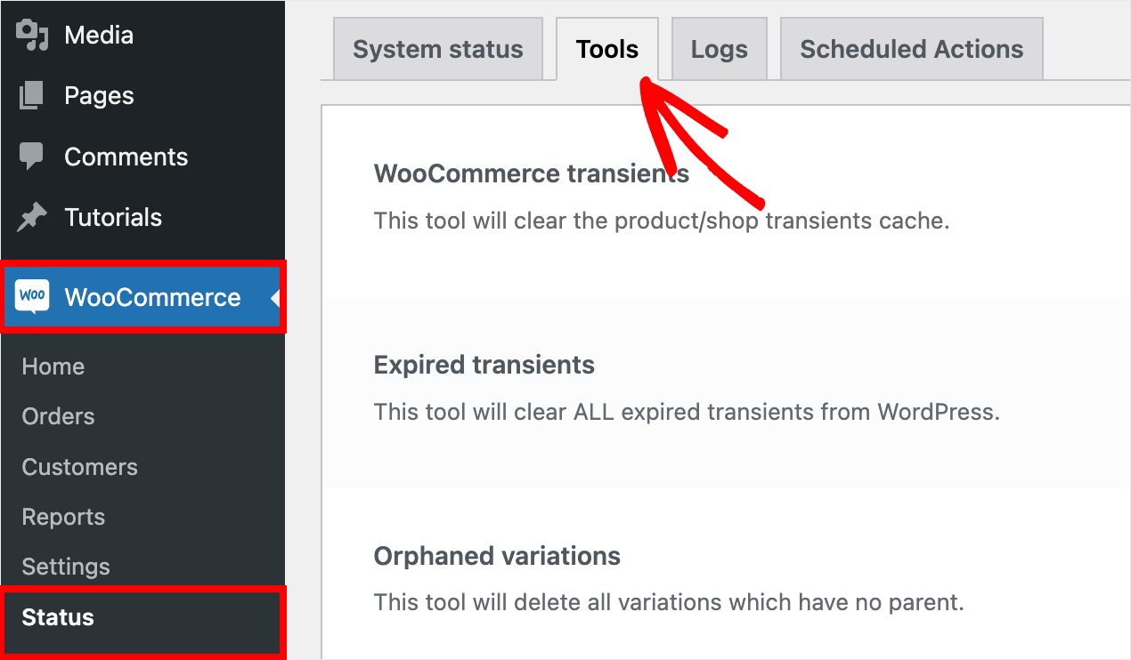 go to the Tools tab - SearchWP go to the Tools tab