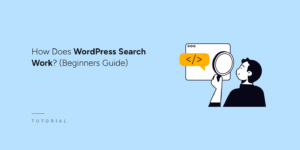 How does WordPress search work