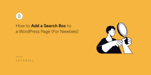 How to add a search box to WordPress page