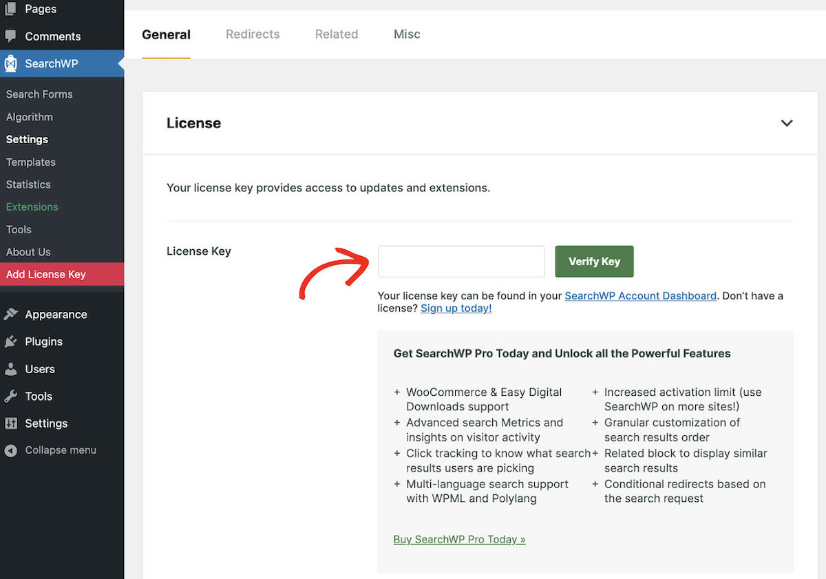 license-key-pasting-in-SearchWP - SearchWP Pasting license to its designated field