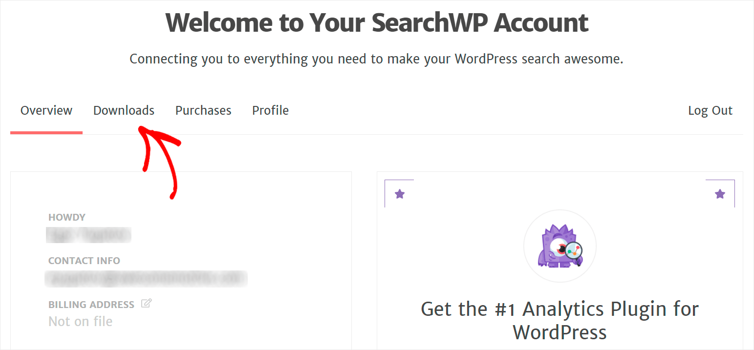navigate to the Downloads tab - SearchWP navigate to the Downloads tab