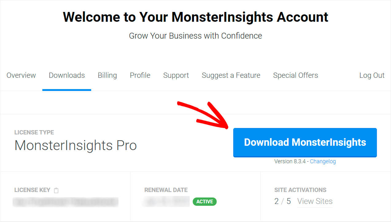 press the download MonsterInsights button - SearchWP press the download MonsterInsights button
