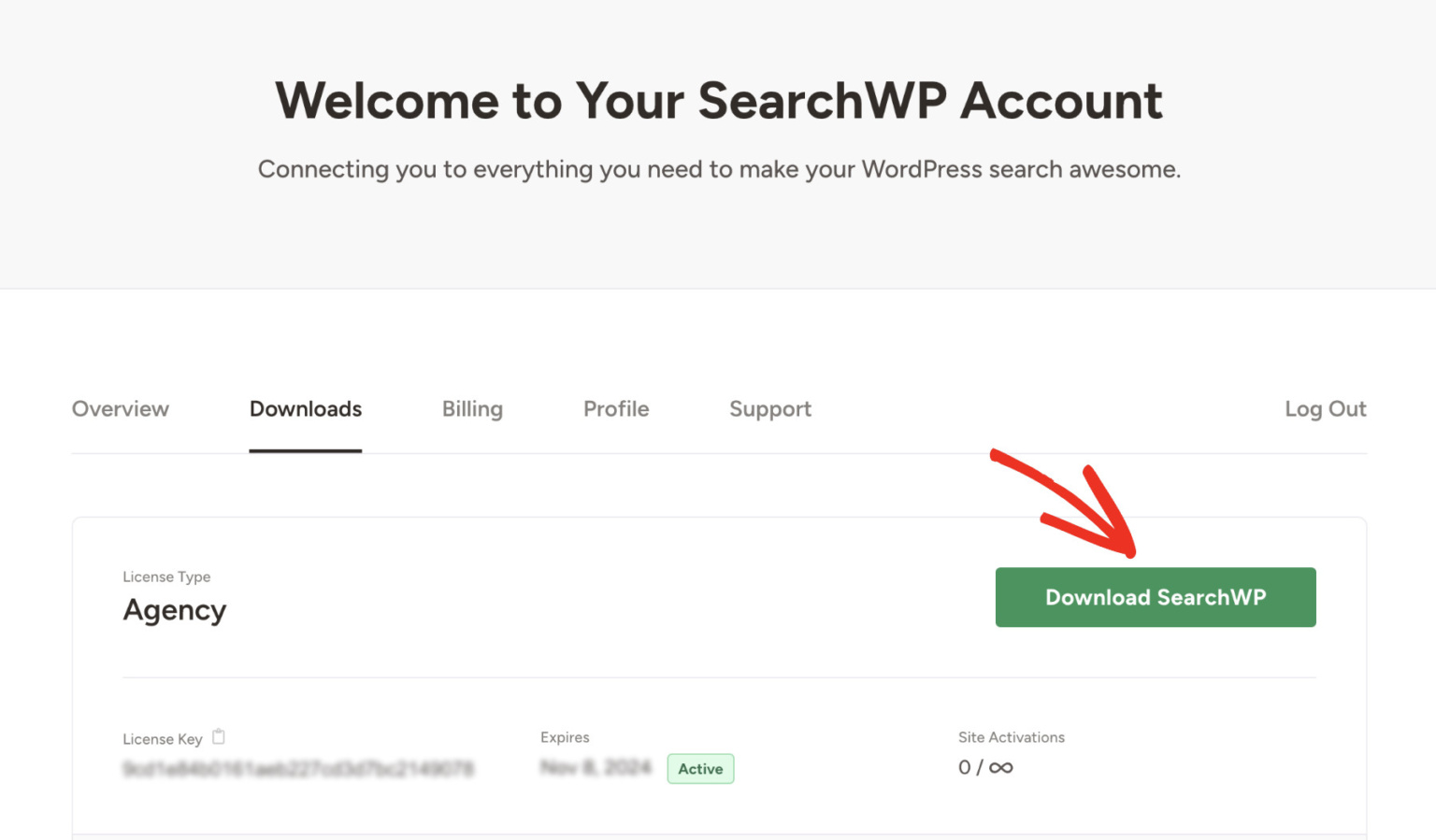 How To Fix WordPress Search Not Working (4 Issues Solved)