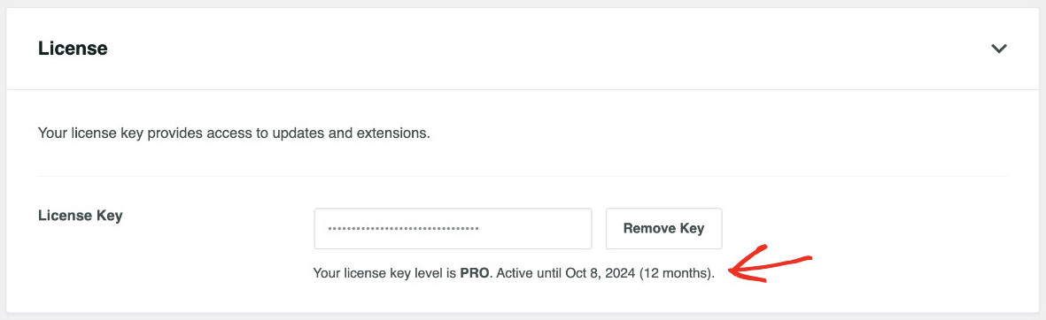 How To Show Related Content In WordPress: Install SearchWP Step 5