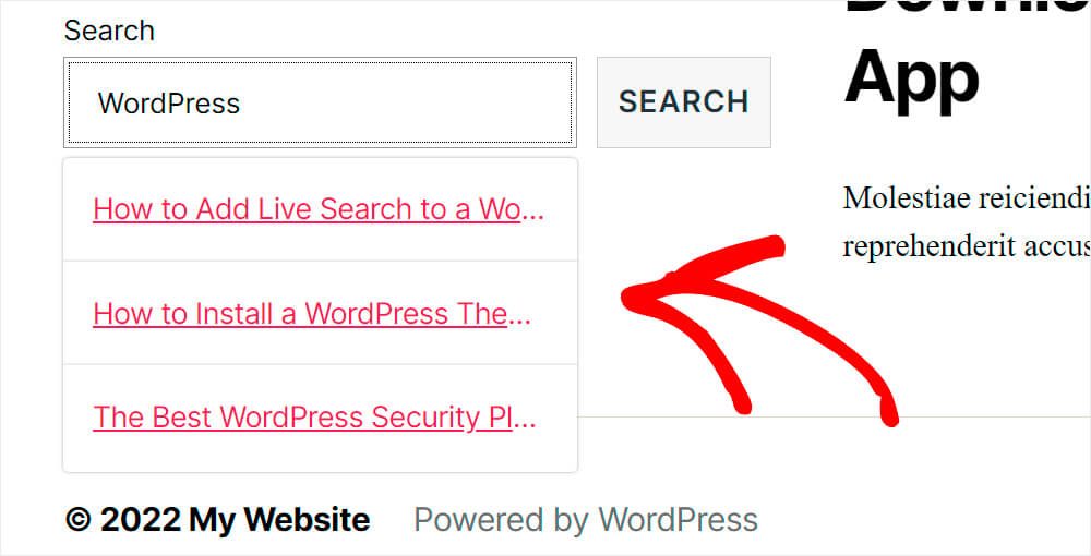 The search bar works