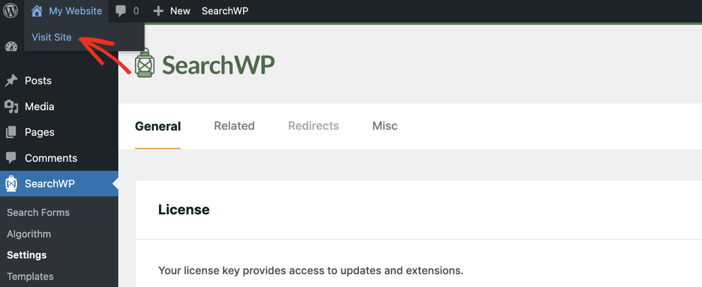 visit website - SearchWP how to add fuzzy search to WordPress sites: visit website frontend